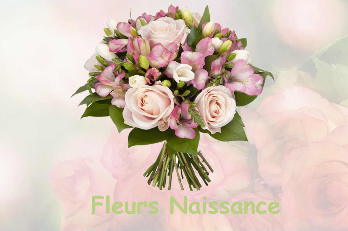 fleurs naissance LA-VILLE-ES-NONAIS